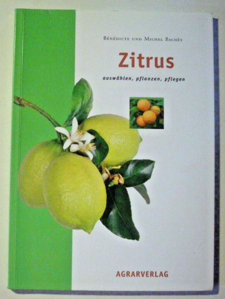 Zitrus auswählen, pflanzen, pflegen von Benedicte und Michel Baches